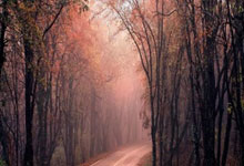 问鼎娱乐:乌奈-西蒙国家队生涯点球大战5场3胜,胜场仅比卡西少一次.