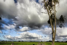 问鼎娱乐:CBA常规赛江苏男篮深圳男篮.