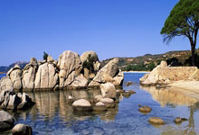 问鼎娱乐:妻子晒迪巴拉术后照:我的战士宝贝,不久后你就能回到赛场了.